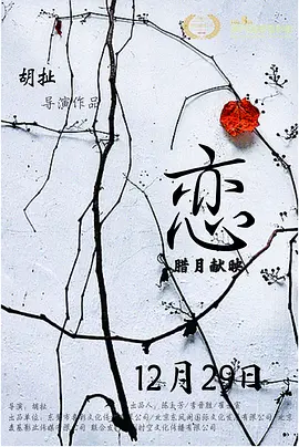 插插无码视频大全不卡网站