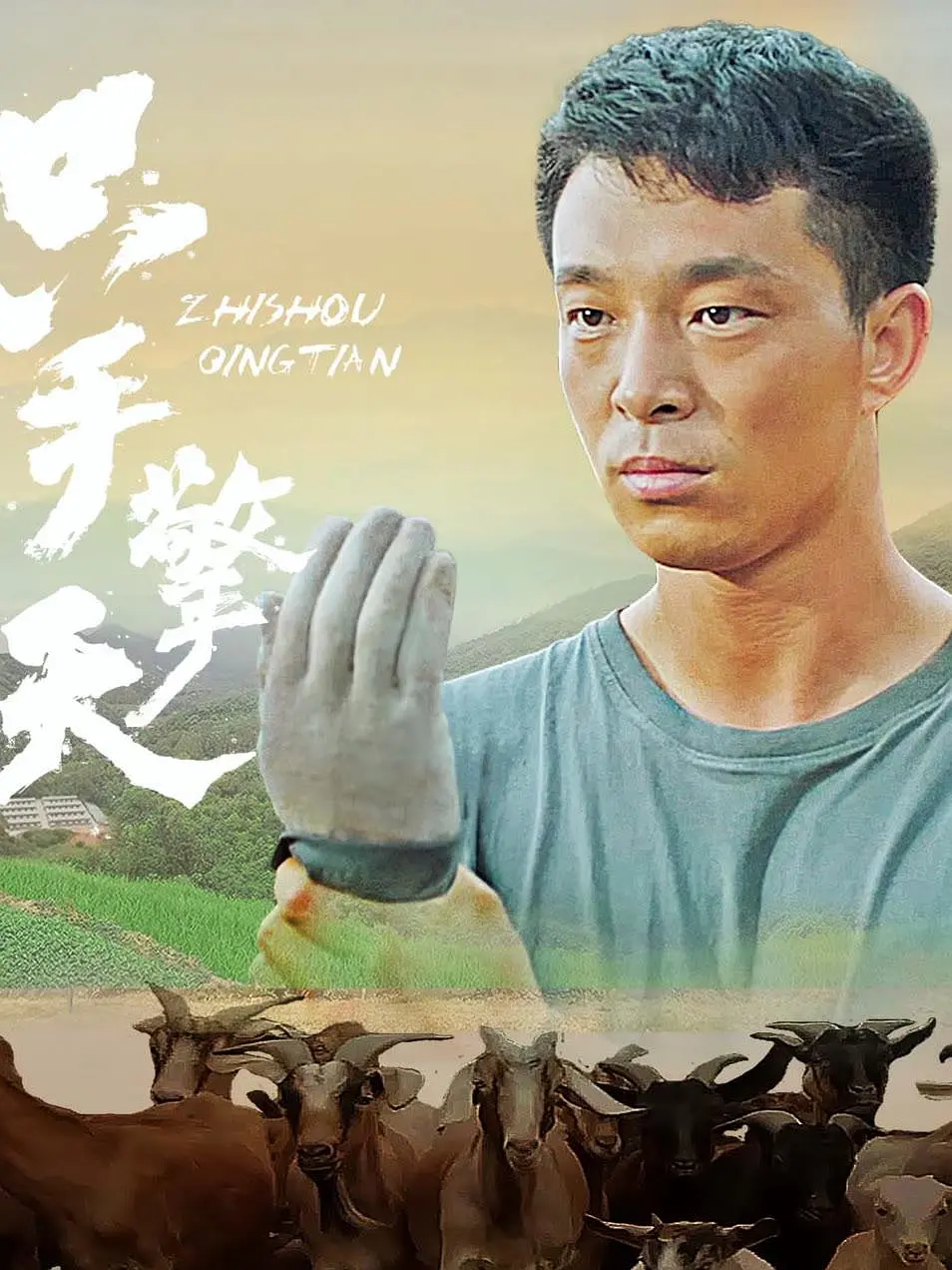 在线观看免费视频一区