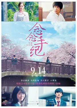 欧美大片黄免费观看
