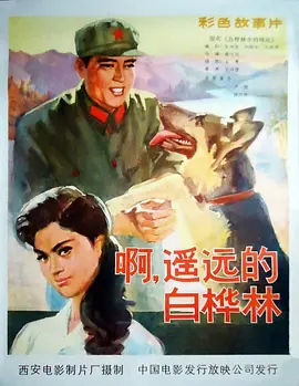 99久久精品免费观看国产