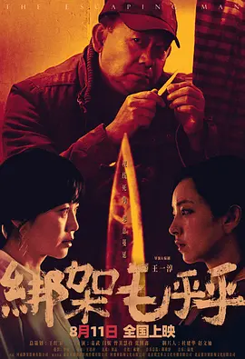 国产精品毛片高清在线完整版