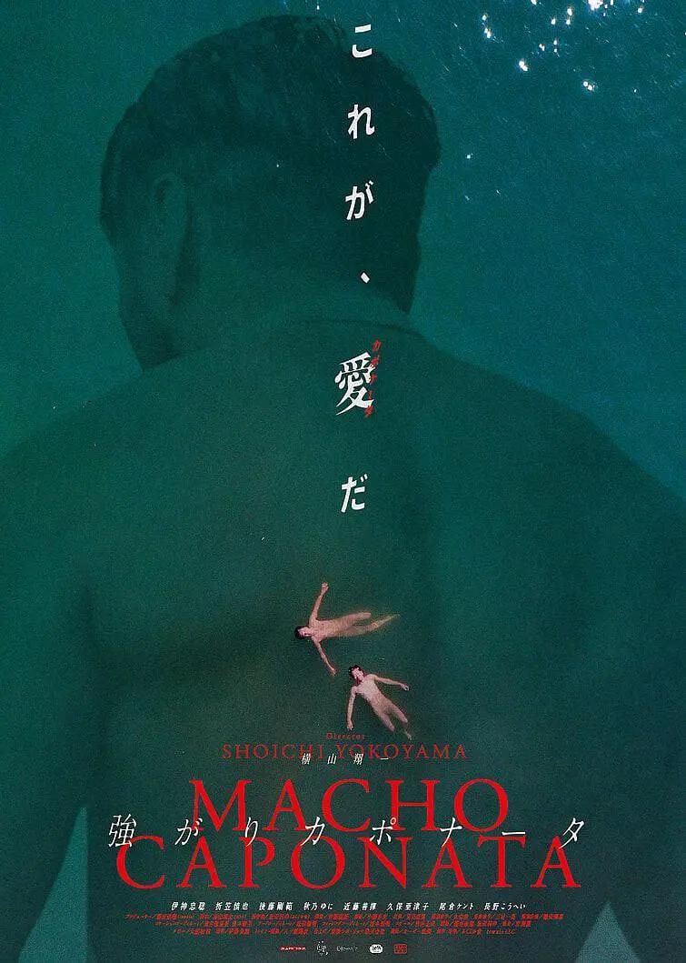 久久久久精品视频