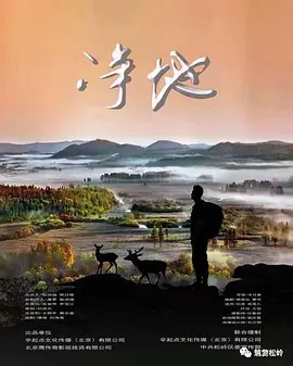 在线观看