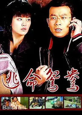 中文字幕亚洲乱码熟女一区二区