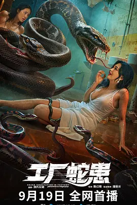 久久精品影视