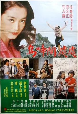 黄页网站在线播放