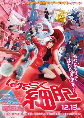 色网站看看-最新日韩剧啦啦啦在线播放