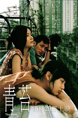 亚洲欧美国产高清va在线播放