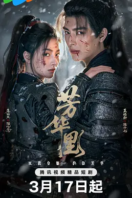 美女视频免费软件下载