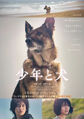 外国黄色网站