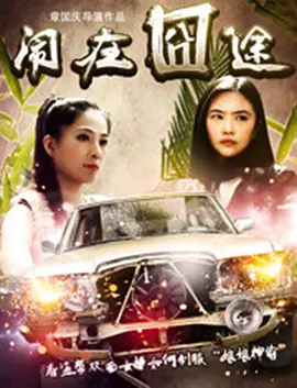 久久久久精品视频