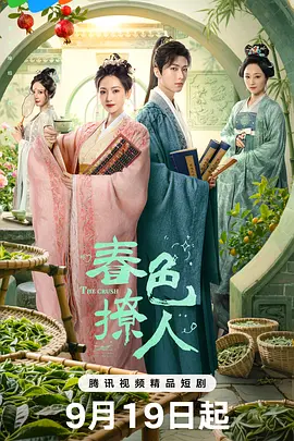 欧美成人中文字幕dvd