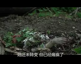 看片中文