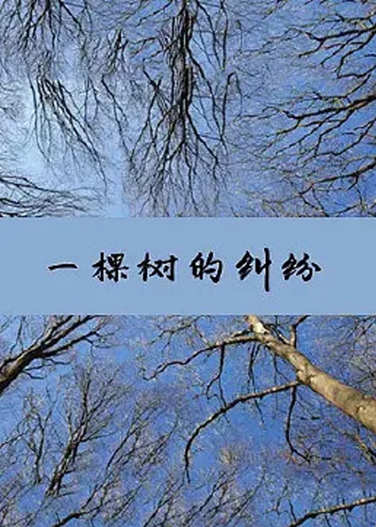 男女xx视频网永久免费网
