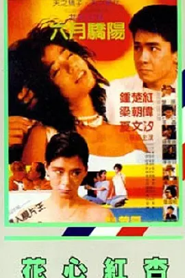 国产高清在线免费视频