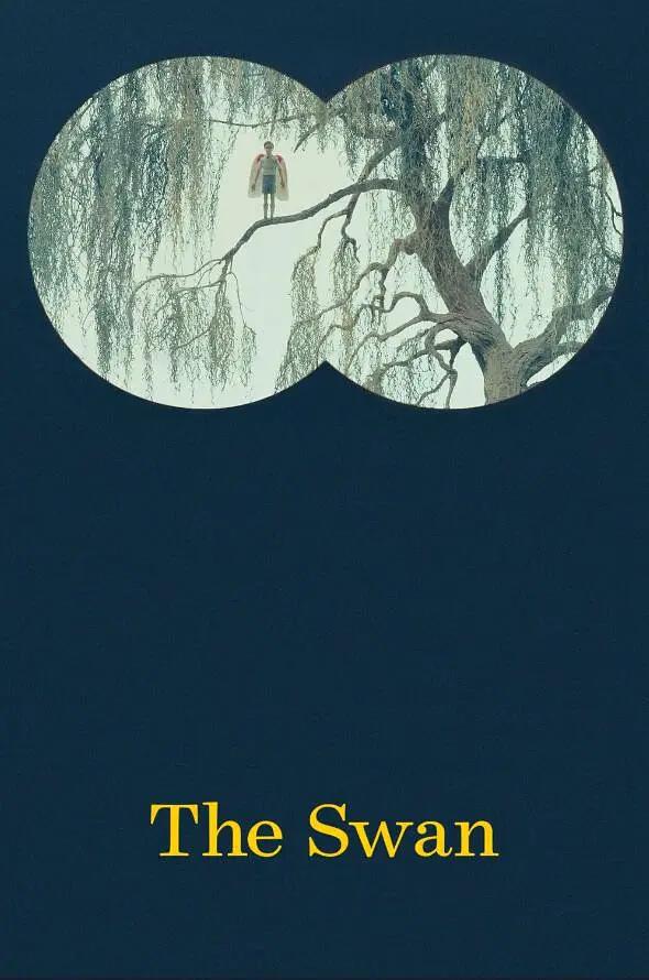 夜夜操bb