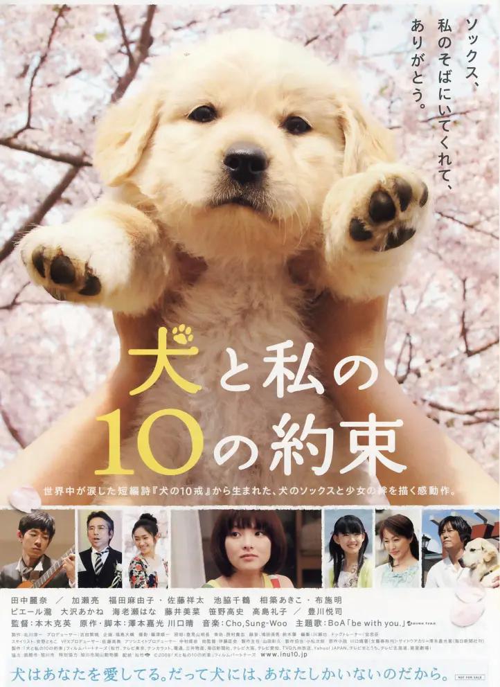 最新99国产成人精品视频免费
