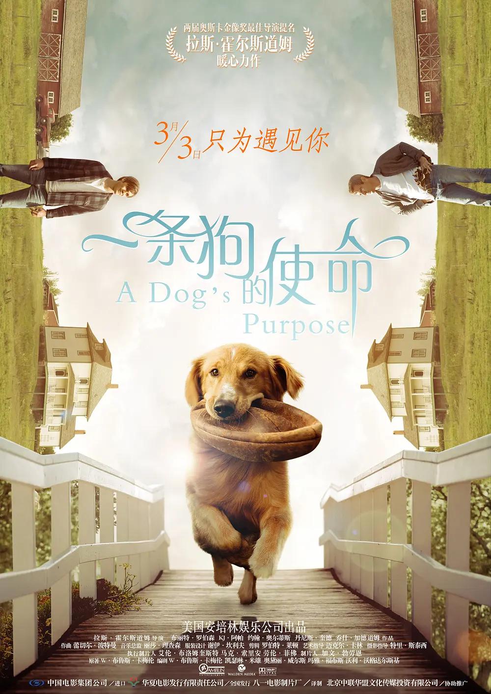 国产一区二三区精华液