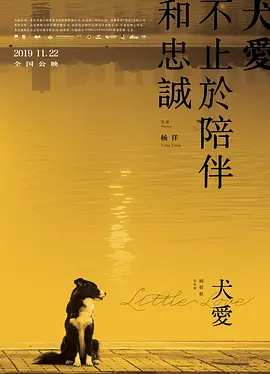 国产精品成人av片免费看app