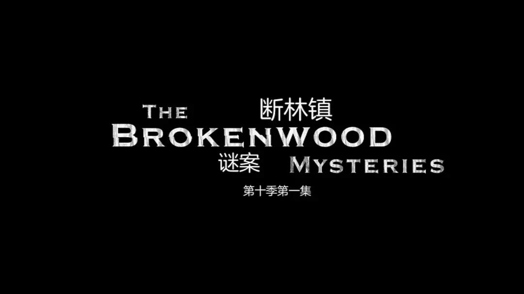 91精品视频免费
