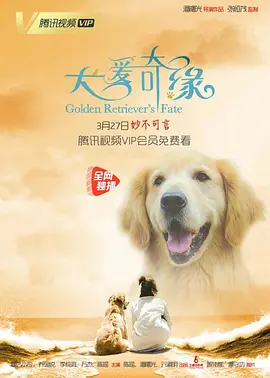 福利中文字幕最新永久