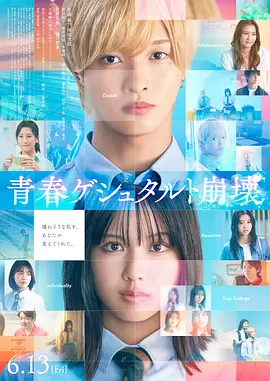 噼里啪啦在线高清观看免费 - DVD高清在线