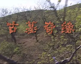 久久国产乱子伦精品免费屁股